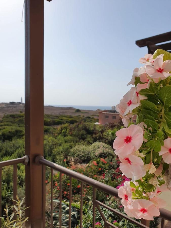 Ancient Paphos - Cozy Place Next To The Sea, Marina, Historical Sites, Buses, Mall, And Market ภายนอก รูปภาพ