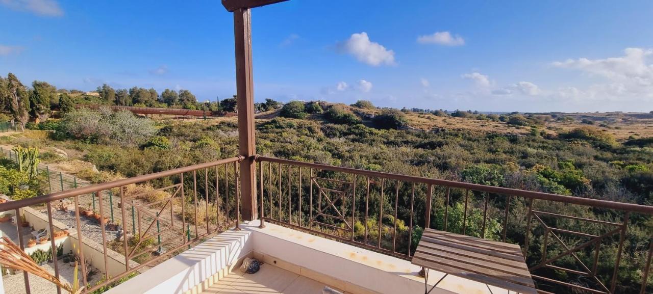 Ancient Paphos - Cozy Place Next To The Sea, Marina, Historical Sites, Buses, Mall, And Market ภายนอก รูปภาพ